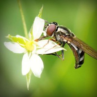 /album/filmek-zenek-sztarok-minden-/photolia-a02-jpg/
