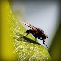 /album/filmek-zenek-sztarok-minden-/photolia-a04-jpg/