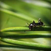 /album/filmek-zenek-sztarok-minden-/photolia-a05-jpg/
