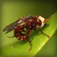/album/filmek-zenek-sztarok-minden-/photolia-a06-jpg/