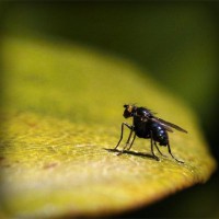 /album/filmek-zenek-sztarok-minden-/photolia-a07-jpg/